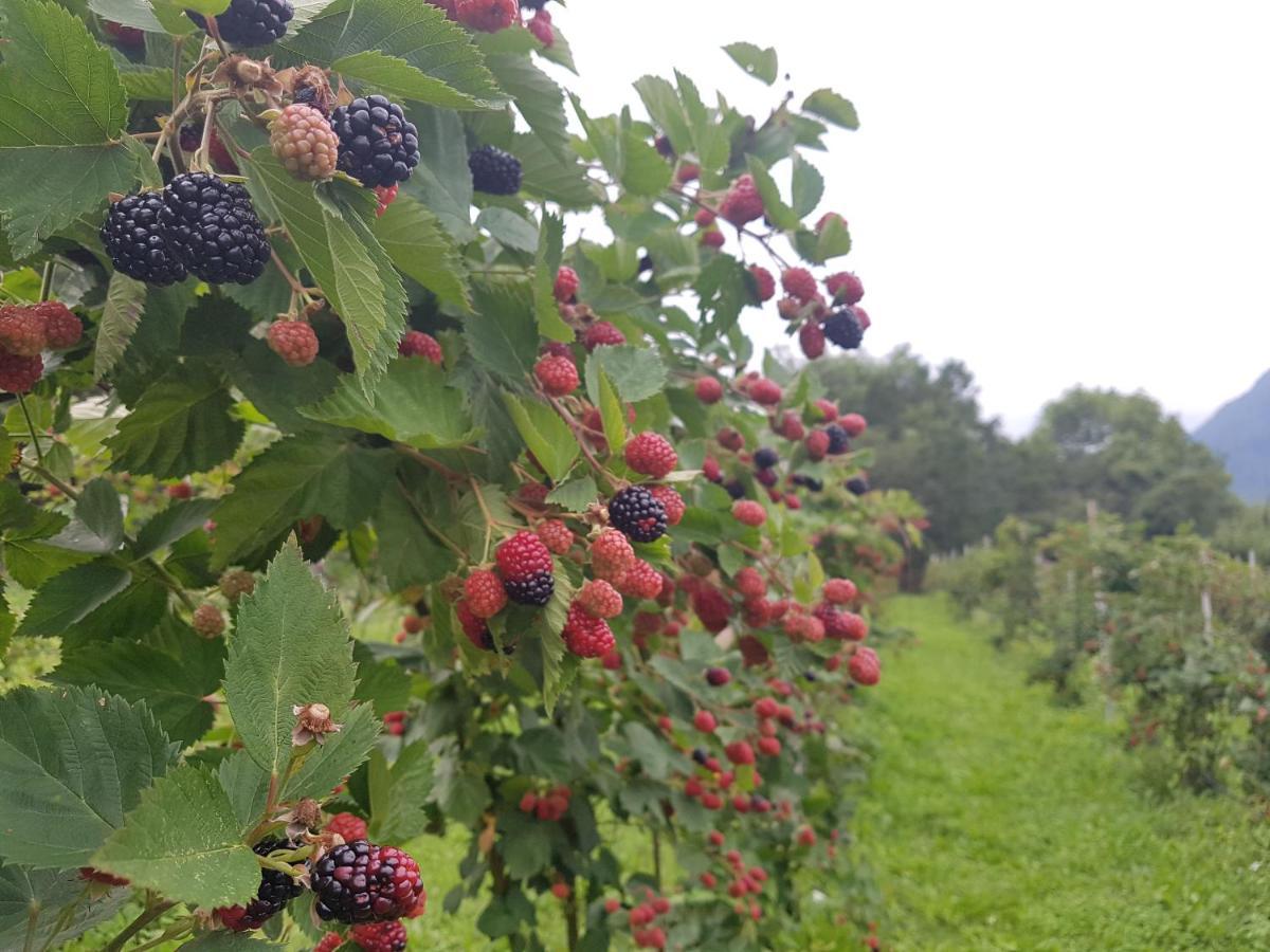 Agriturismo La Giasena 폰테 넬랄피 외부 사진