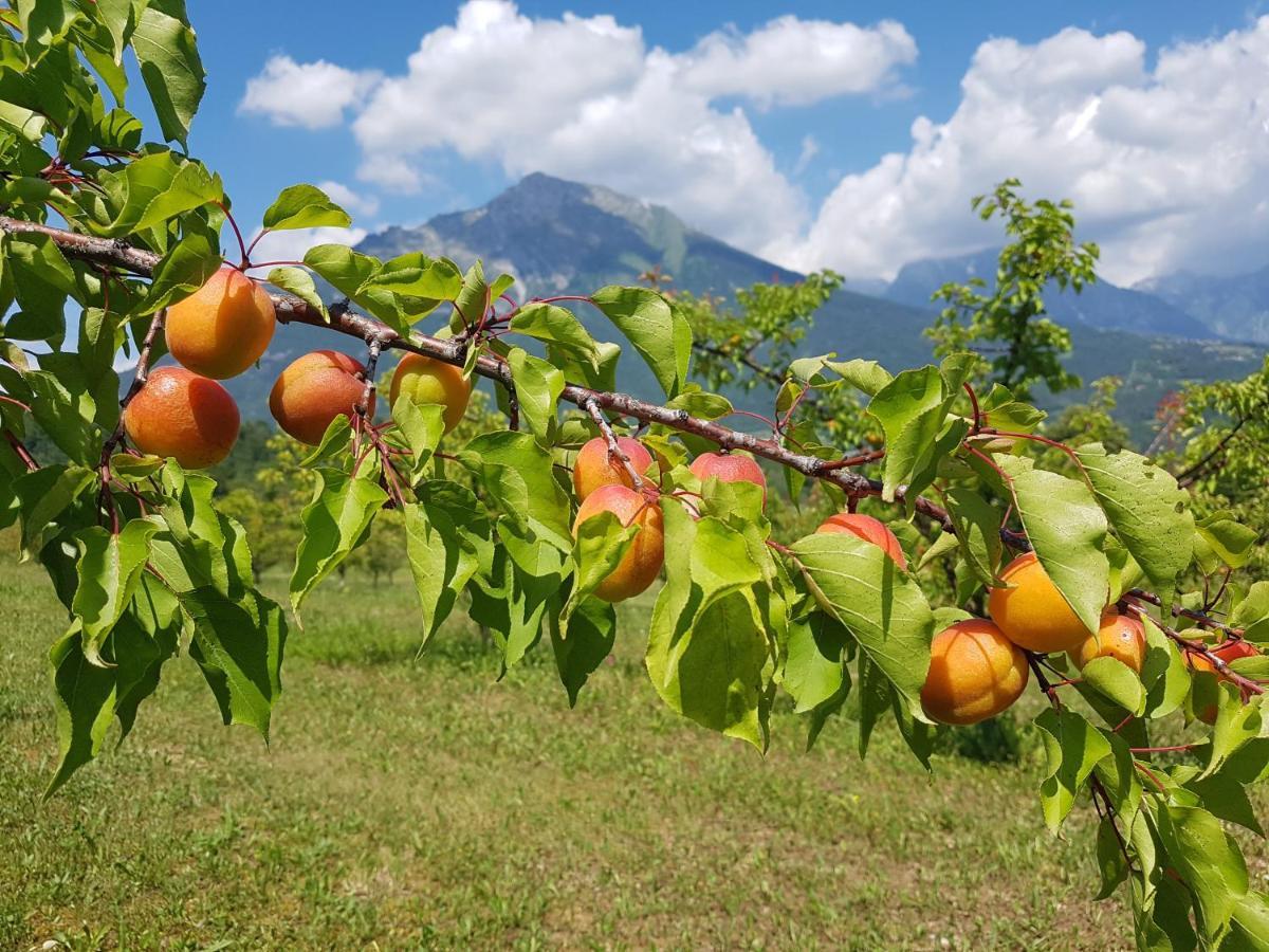 폰테 넬랄피 Agriturismo La Giasena B&B 외부 사진