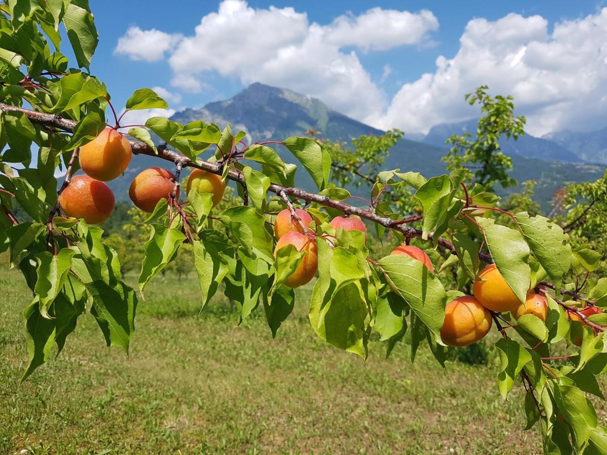 Agriturismo La Giasena 폰테 넬랄피 외부 사진