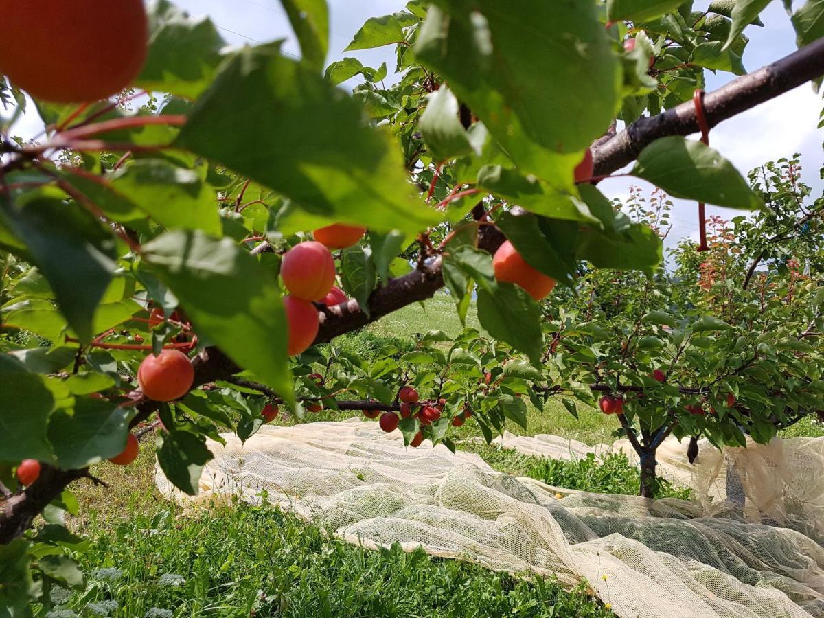 Agriturismo La Giasena 폰테 넬랄피 외부 사진