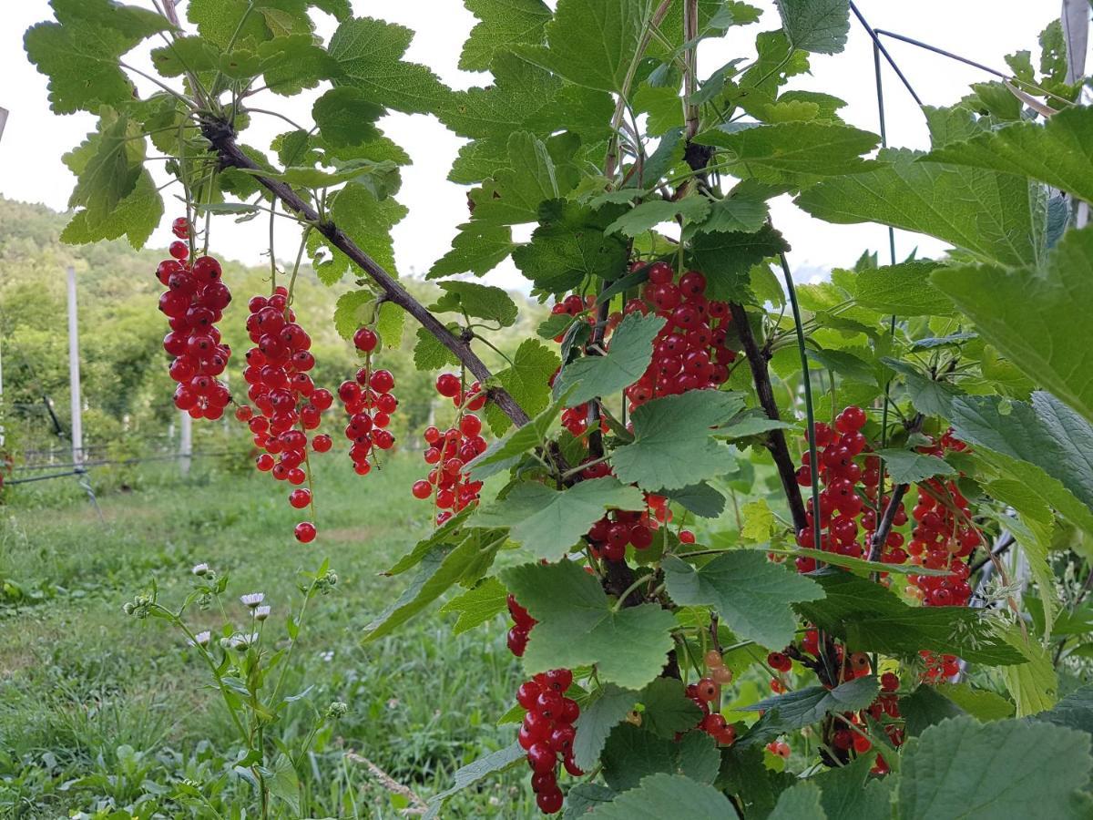 Agriturismo La Giasena 폰테 넬랄피 외부 사진