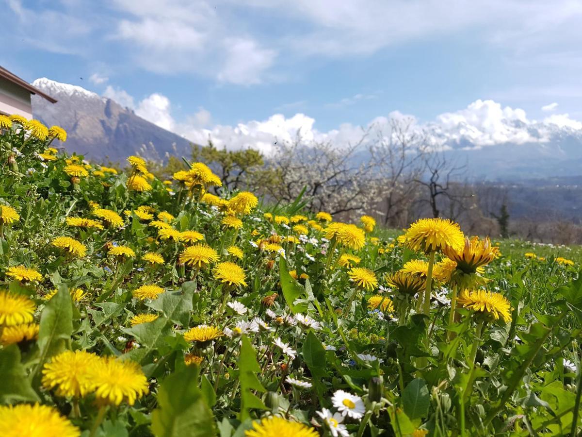Agriturismo La Giasena 폰테 넬랄피 외부 사진