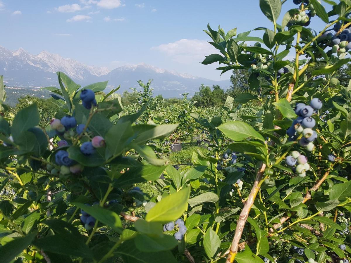 폰테 넬랄피 Agriturismo La Giasena B&B 외부 사진