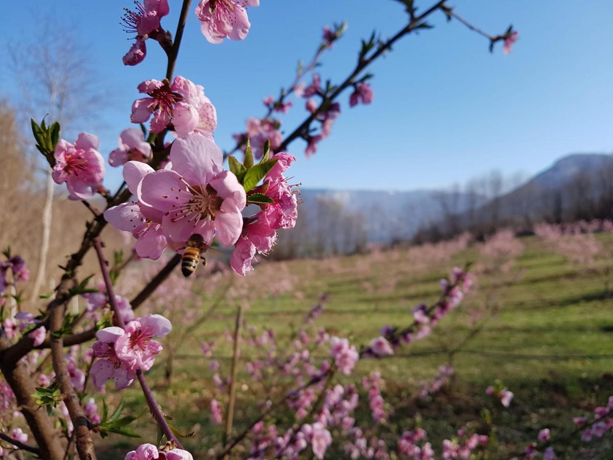 폰테 넬랄피 Agriturismo La Giasena B&B 외부 사진