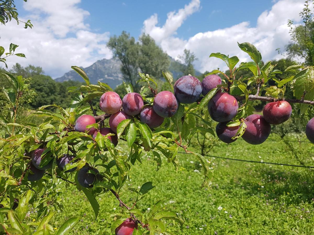 Agriturismo La Giasena 폰테 넬랄피 외부 사진